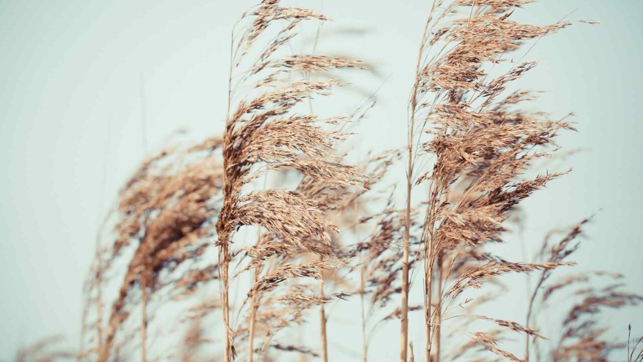 https://merkur.irenahappyart.com/wp-content/uploads/2018/04/post_11-1280x720.jpg